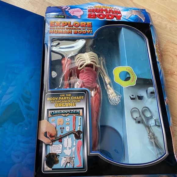 Youth science toy - Squishy Human Body 8+ - Picture 4 of 12